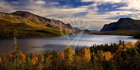 Trout River Pond, Gros Morne